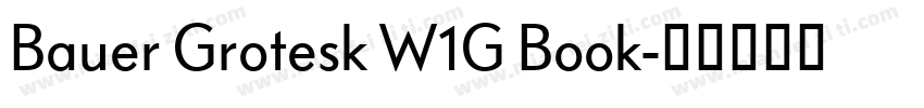 Bauer Grotesk W1G Book字体转换